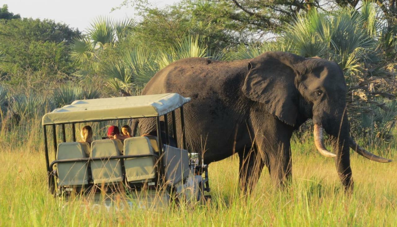 Tembe Elephant Park Lodge Sihangwane Exteriör bild