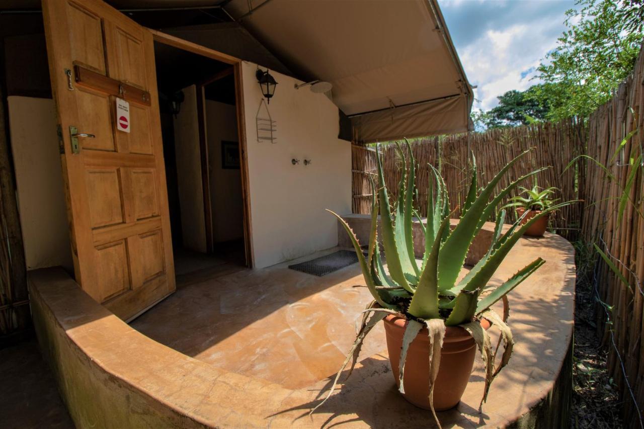 Tembe Elephant Park Lodge Sihangwane Exteriör bild