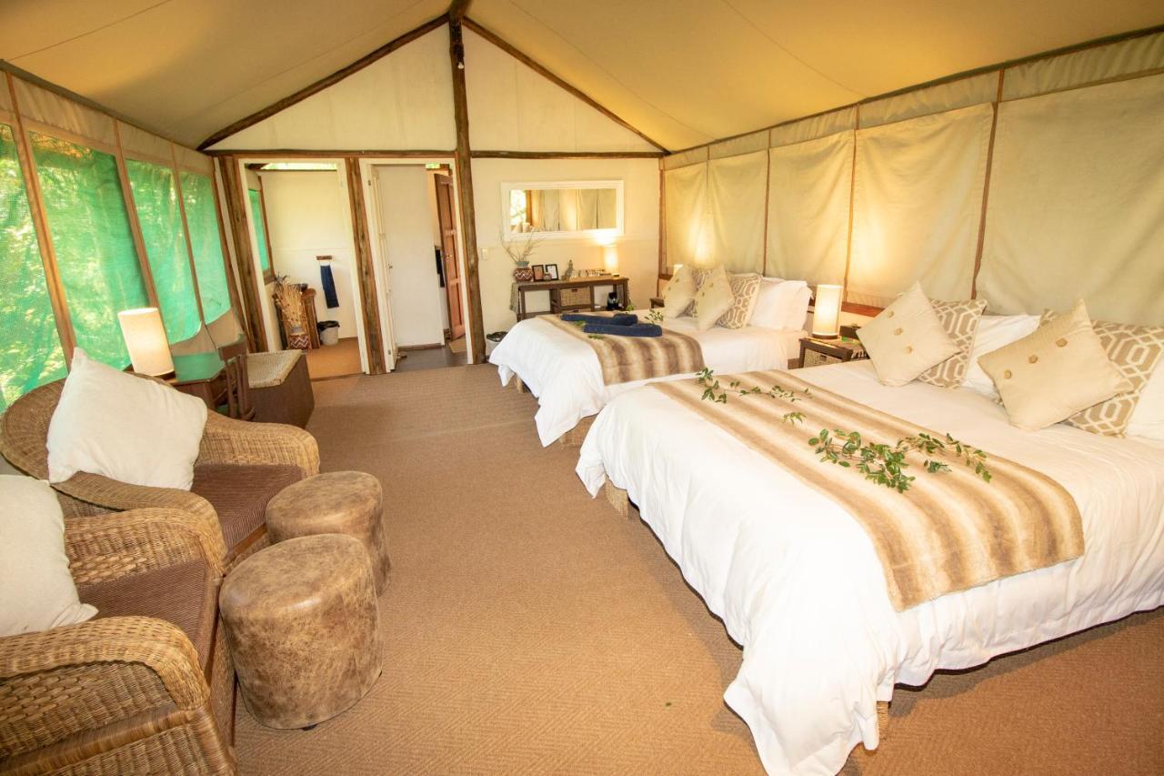 Tembe Elephant Park Lodge Sihangwane Exteriör bild