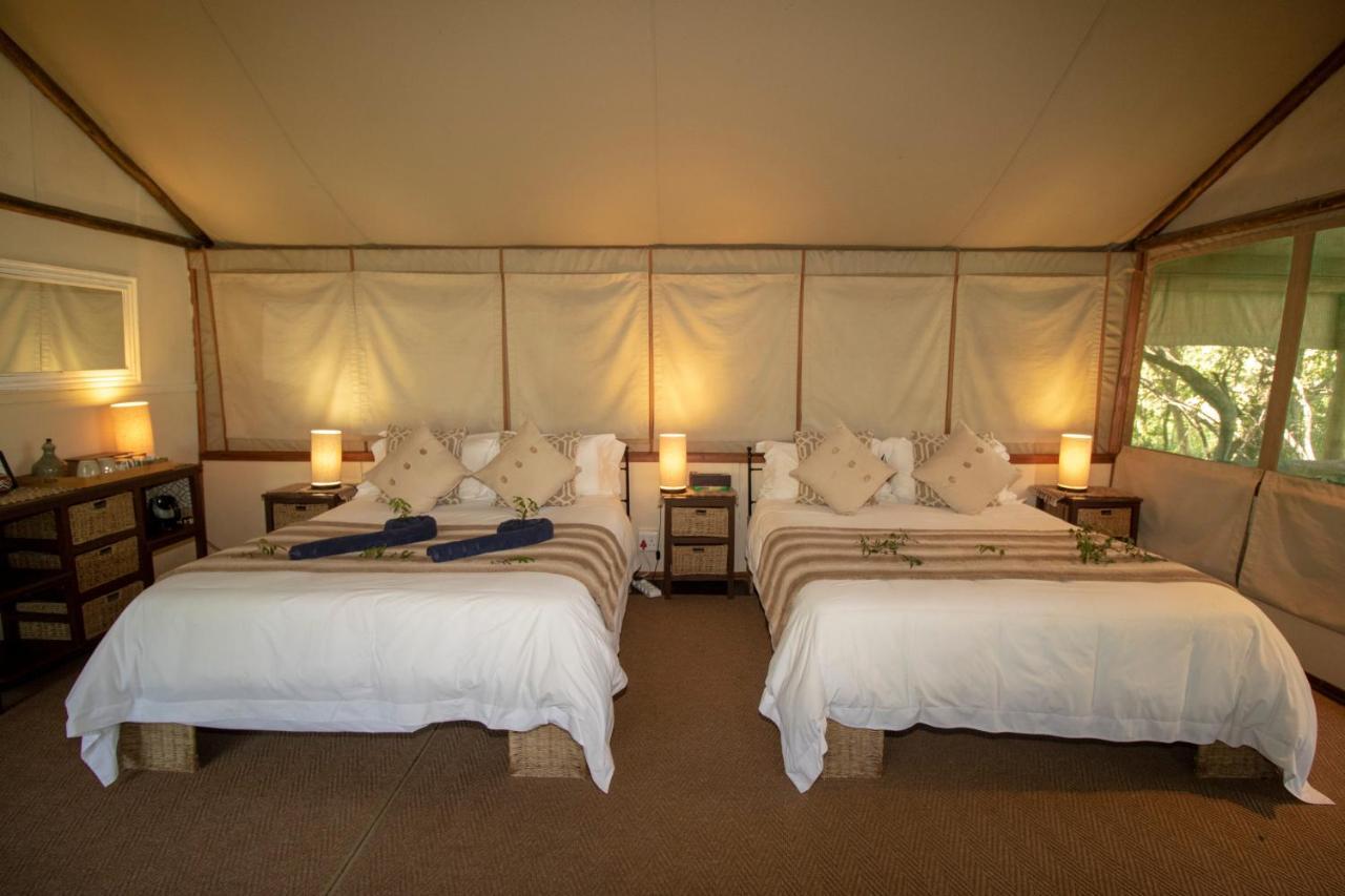 Tembe Elephant Park Lodge Sihangwane Exteriör bild