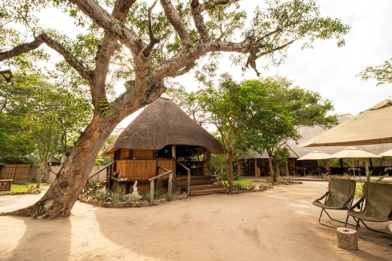 Tembe Elephant Park Lodge Sihangwane Exteriör bild