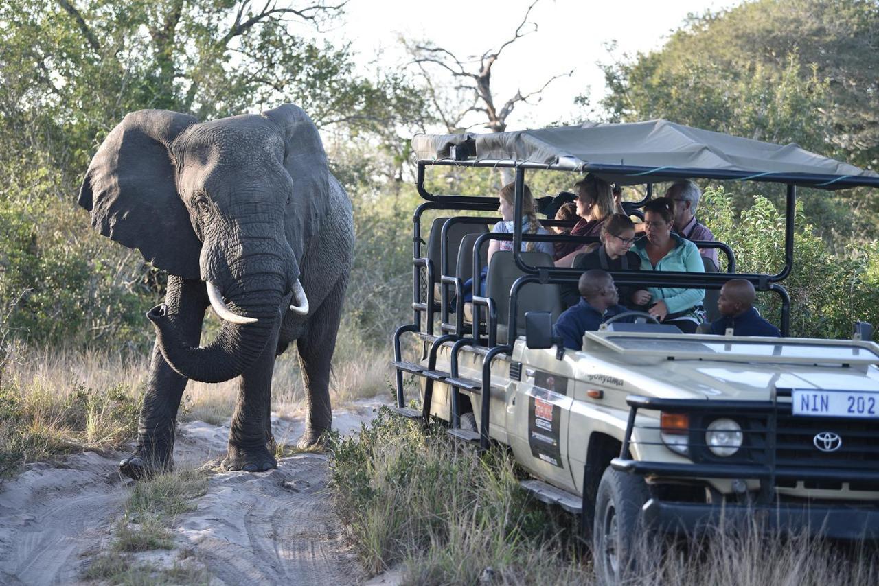 Tembe Elephant Park Lodge Sihangwane Exteriör bild